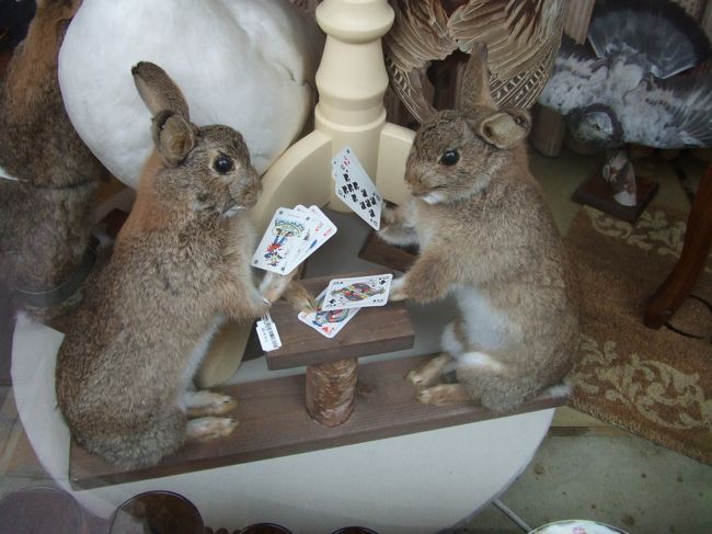 かわいいお店がたくさん。<br />ふらふら散歩するだけでも満たされる街。