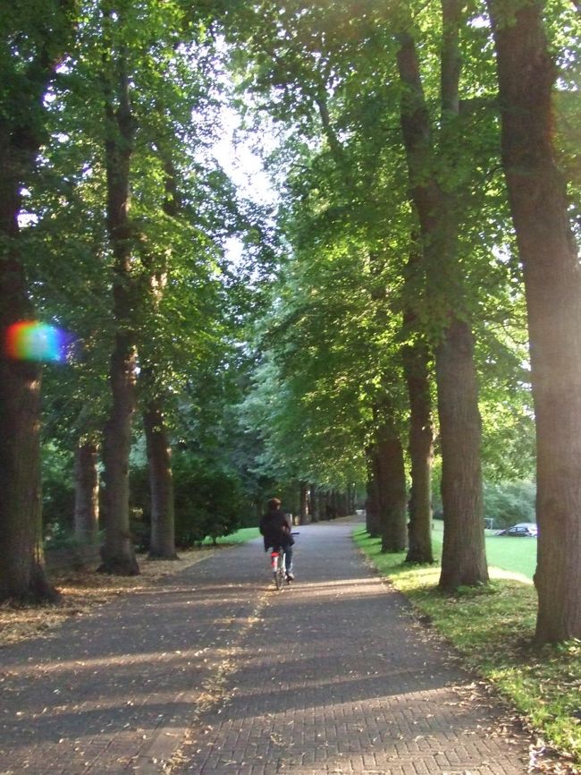 名残惜しい帰国への道。