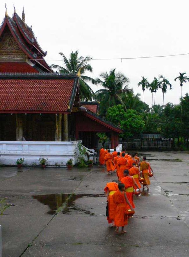 最終日。<br />この日も５時４０分に起きて托鉢を見に行く。<br /><br />昨日、仲良くなったお坊さんの托鉢姿を見ようと思ってたのに。<br />みんな寺の中へと戻っていく。<br /><br />終わっちゃってた･･･<br /><br />昨日と同じ時間なのに、お寺の場所によって違うみたい。