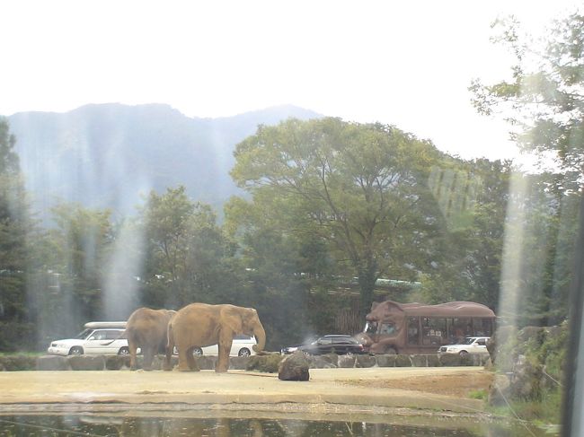 子供は動物よりこちらのバスに夢中･･