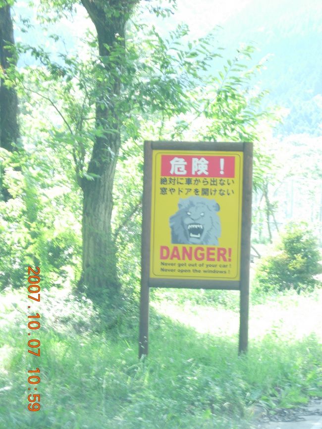 こういう看板見るとドキドキしませんか？