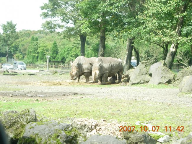 仲良く並んでます