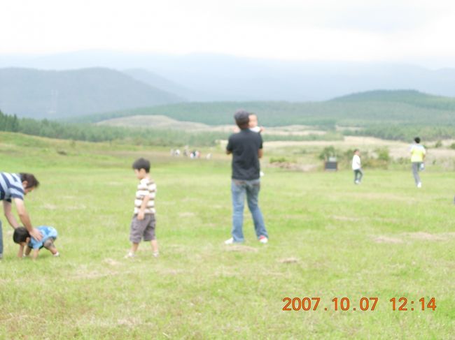 駐車場の上には素敵な草原がありました