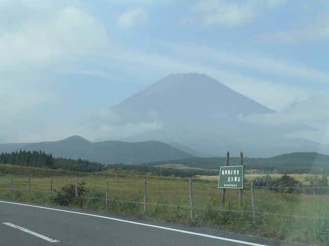 キレイな富士山が