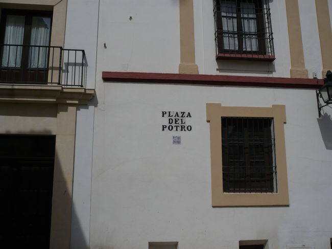 ポトロ広場でセルバンテスを思う、マドリーで買った<br />ドン・キホーテ・デ・ラ・マンチャの本を持って。