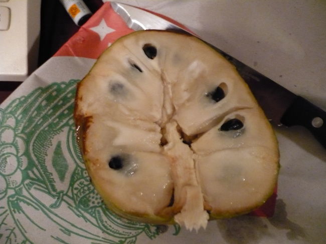 チリモジャの中身タネの周りが甘くて甘くて、この<br />旅行記を書きながらヨダレを流してます。<br />日本でも輸入してよ・・・・