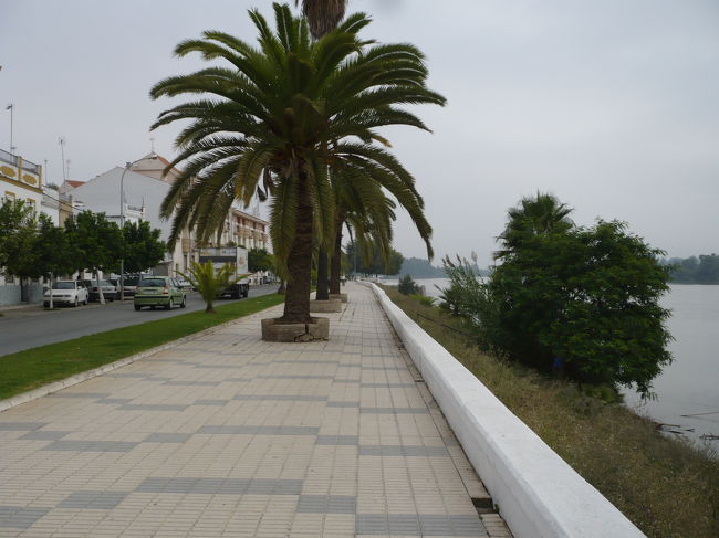 グァダルキビル川の横をパセオ（散歩路）が続き<br />のんびりとセニョール・セニョラーが散歩をしい<br />ます、山羊が路端の草を食み、野良犬が私の後を<br />この町を去るまで付いて来る。