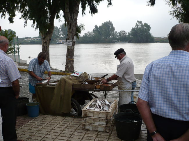 グァダルキビル川の端でボラをさばいて売って<br />いる魚屋さん、