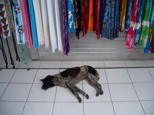 寺院からの帰りの道は、お土産屋が並び、それはもうすごい売り込みです。隙を見せたら最後です。<br />ひとつだけ欲しかったのに、手編みのかばんとサロンを４つずつ買わされました。勝手に袋につめちゃうので、気をつけてください。<br />犬はのんきに寝てます。