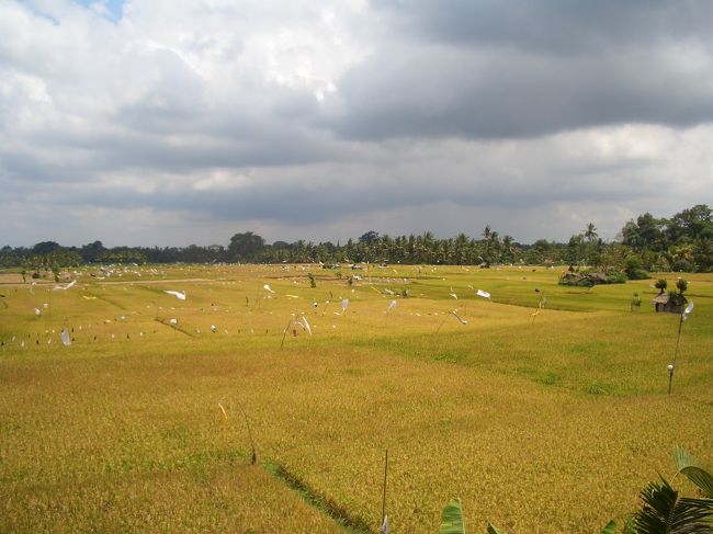 お昼を食べながらの景色。とてもきれいでした。<br />今回、初バリでしたが、とても楽しかったです。お土産売りはしつこいけど、そういうのも楽しんでしまうと、後から笑えます。しつこいのが嫌な人は、とにかく買うそぶりを見せないことですね。<br />お釣りをごまかされたりとかありがちですが、せいぜい何百円なので、笑って済ませたいものです。<br /><br />心残り…豚の丸焼き食べたかったよ〜。