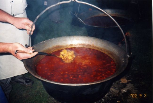 大きななべのグヤーシュ　おいしかった。