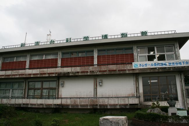 秋吉台の自然　秋吉台科学博物館 01.png