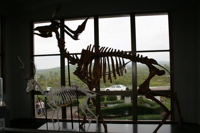 ひとり旅 [151] 山口ぶらり旅「秋吉台科学博物館?」山口県秋芳町