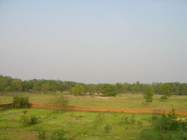 広大なルンビニ