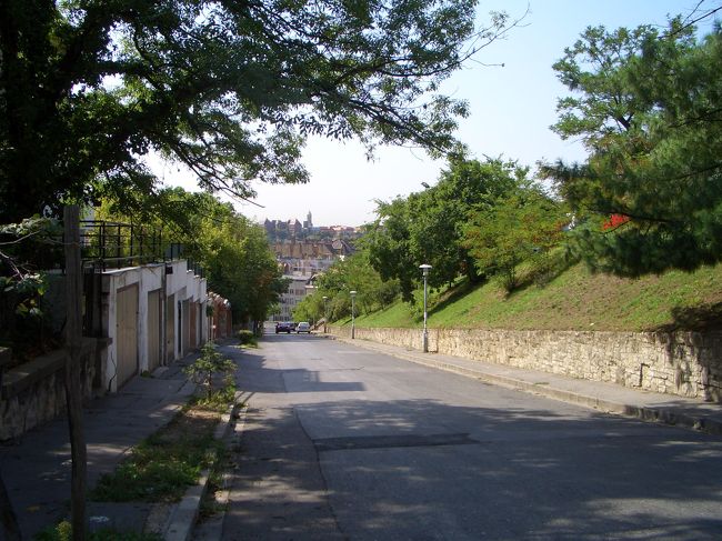 この辺りまで来ると、おそらく既にバラの丘エリアに突入している気がします。大きな道路が現れ、目を疑うようなデカイ家がいっぱい建っています。うわ〜すごっ。