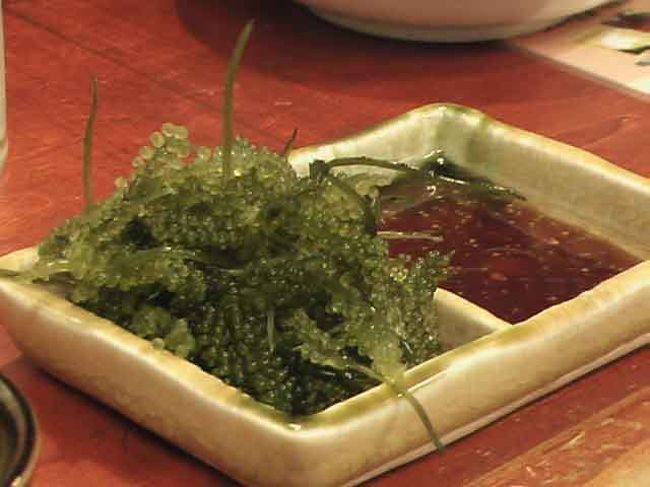 　そういえば、米国・プルマン：http://4travel.jp/traveler/terikara/album/10184216/のところに載っている長男がちいさい時、「ぶどう」のことをよく、『ぼぼん』といっていたなぁ・・