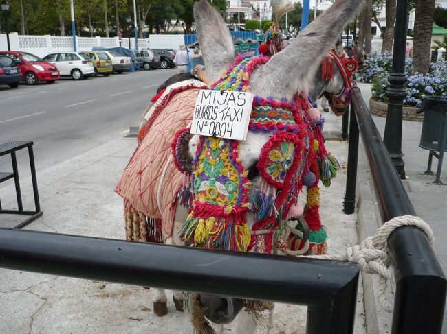 まずはタクシーに乗って一周、ビジターセンター<br />で地図を貰い、いざ観光に。<br /><br /> ir en burro