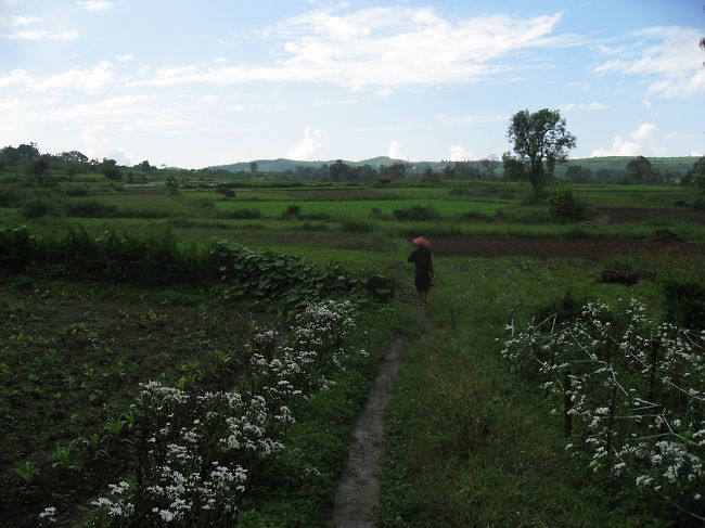 帰り道。<br /><br />実はカメラの露出を間違えたんだけど、<br />そのときの雨上がりの印象と合っているので、<br />そのままで。