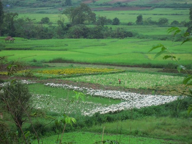 シャン州は10月から11月に訪れろ、と言われたことがある。透き通っているからって。<br /><br />なんとなく分かる。