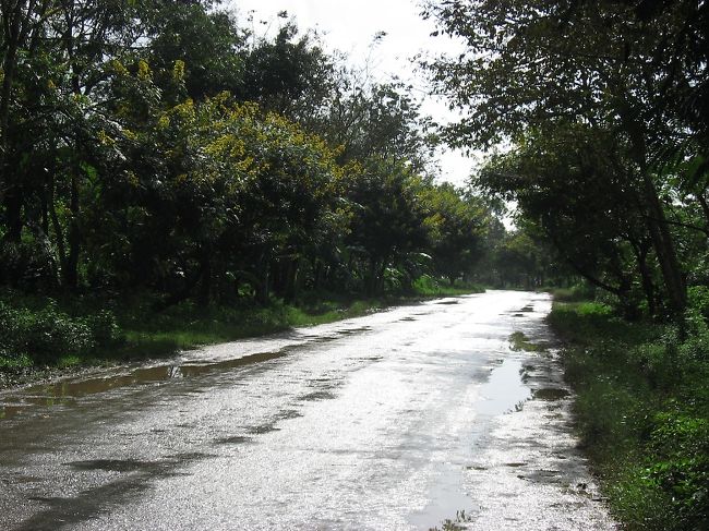 雨上がりの道を自転車で爆走。