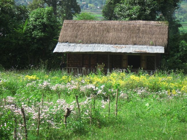 帰り道、道中にて