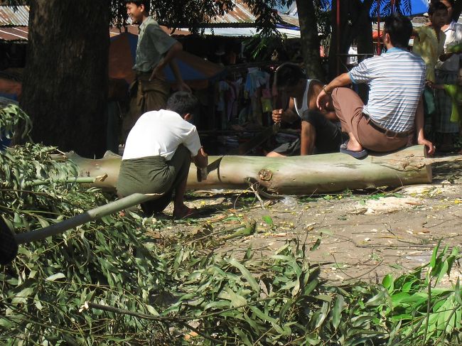 駅前。<br /><br />前夜の雷で駅前の木の枝が折れたんだって。<br />びっくり。<br /><br />この木は香木だったらしくて、大切に切り分けられていた。<br /><br />少しだけ分けてもらったけど、今でも香るよ。