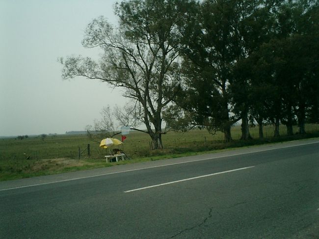 <br />　無人販売　？？