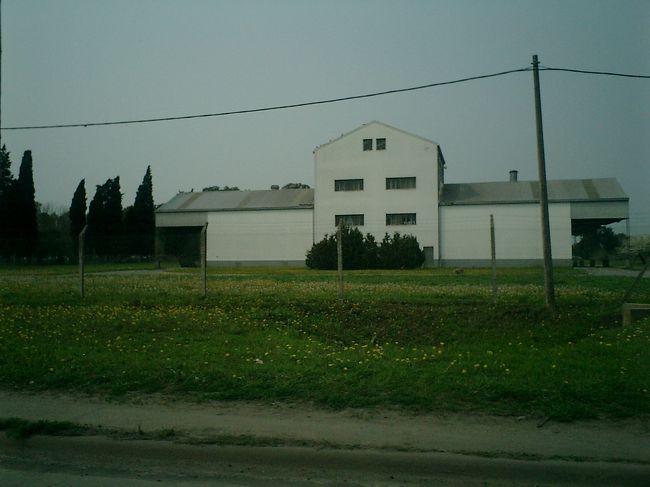 <br />　　花　　畑　　？？