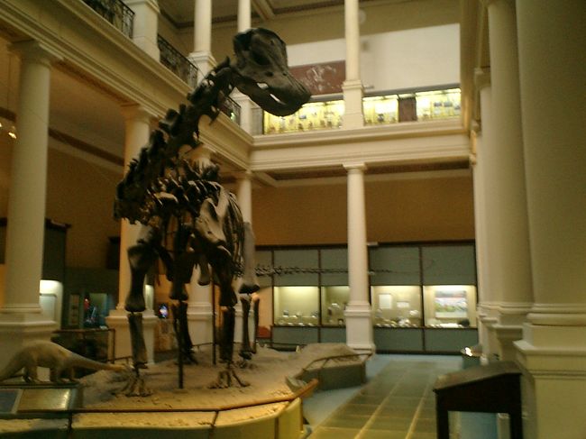 アルゼンチンは恐竜等の化石の宝庫だそうです。