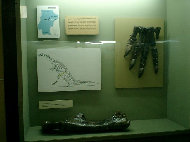 ラプラタ自然博物館には、そういう古代の動物たちに関する資料が収められています。