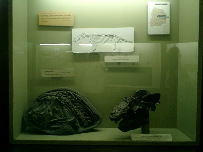 恐竜の化石のようです。