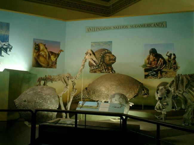 <br />　これは、写真だけでいいです。<br /><br />昔の動物は、みんな大きかったんですね。<br /><br />