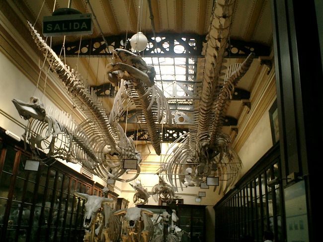 圧倒されそうです。<br /><br />これも、写真でいいです。