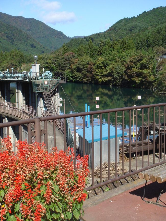 四万湖のほとりは整備されていて、毎年真っ赤なサルビアが咲き誇ります。<br />人が少ないのでのんびり景色を楽しむことが出来ます。<br />時間があるなら左下のダムサイトに降りることができます。<br />対岸では釣りをしている人も見受けられました。