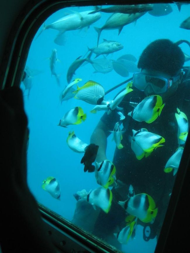 【お魚い〜っぱい！でも...】<br />続いて訪れた海中展望塔「フィッシュアイ マリンパーク」は、ぜひとも息子に見せたい場所でした。<br />海中深くに立てられた塔の中で、実際に海を泳ぐ魚たちを見ることができるのです。<br />ここ、通常ならランチ&amp;送迎付きで38ドルという場所なので、ツアーに組み込まれていたのはラッキーでした。<br /><br />しかし、ウチの息子。<br />この一番いいスポットで、グースカ、グースカzzz<br />起こしても全然目を覚まさず、夢の中でした。。<br />仕方がないので、私たち夫婦が大いに楽しんできました。<br /><br /><br />＊写真／海中塔の内部にて。スタッフが海にもぐって、海中塔の近くに魚を呼び寄せてくれるから、間近にキレイな魚を見ることができます。こちらも写真撮影のサービス（押し売り?!）があったのがものがなしいところですが。。