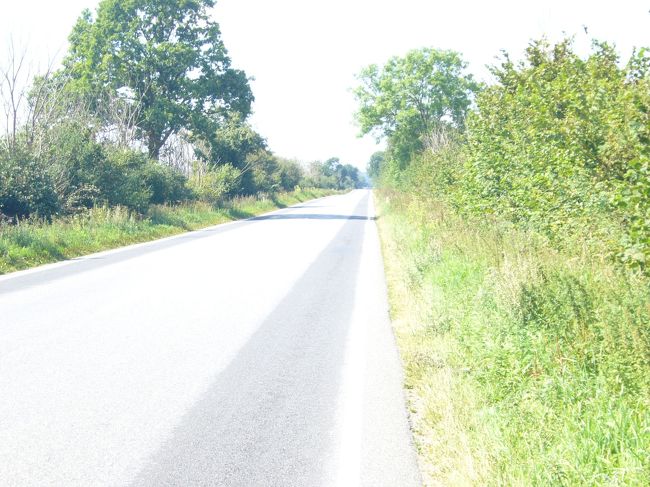 イーエスコウ城へは、電車でクヴェンドロップへ行き、<br />その後、30分位歩きます。<br />ほんとにこの道であってるのかなと思うほど、<br />写真の通り、看板もなーんにもない道です。<br />クヴェンドロップの駅にも駅員さんも誰もいなく、<br />駅に分かりづらい古い地図が貼ってあったので、<br />それを頼りにお城へとむかいました。<br />