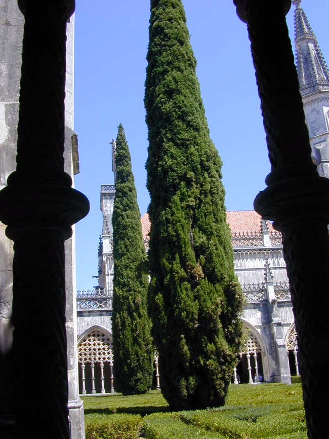 修道院の中庭には糸杉があります。スペインやポルトガルには糸のような杉がよく植えられています。