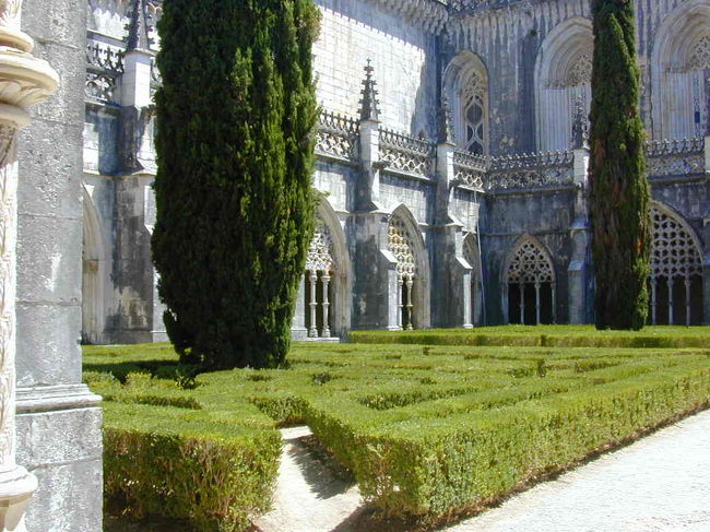 修道院の中庭の立派な２本の糸杉です。