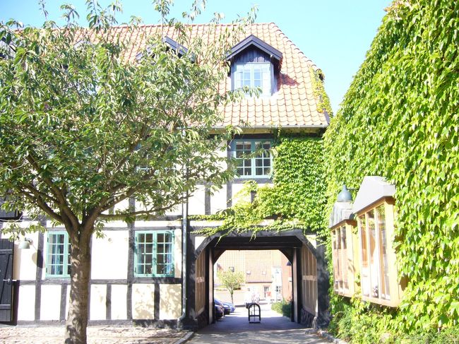 家と木のバランスがいい感じ。