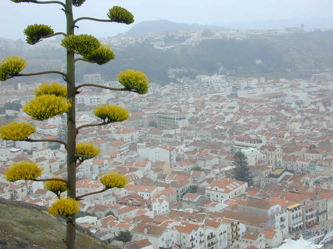 ナザレにはオ・シティオと呼ばれる高台があります。そのオ・シティオからナザレの海岸を眺めたところです。