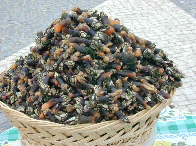 オ・シティオの露店では亀の手を売っていました。こに地域では普通の食べ物らしいです。