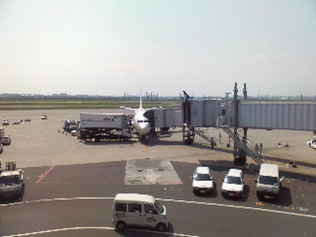 行きは羽田からひとっ飛び！<br />夏は直行便が出てるから、<br />２泊３日の旅行だと時間的に嬉しい。