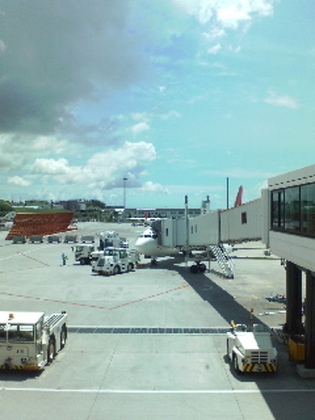 帰りは那覇経由。<br />給油の為らしい。<br /><br />帰り道には富士山が見えたりして<br />最後の最後まで楽しんじゃった♪<br /><br />そんなこんなで、天気も良かったし<br />ずーっと海にいたりで、日焼けしまくって帰ってきた。<br /><br />久米島ホントに楽しかった。<br />人も優しいし、のどかだし、海はきれいだし。<br /><br />また行きたいなー。