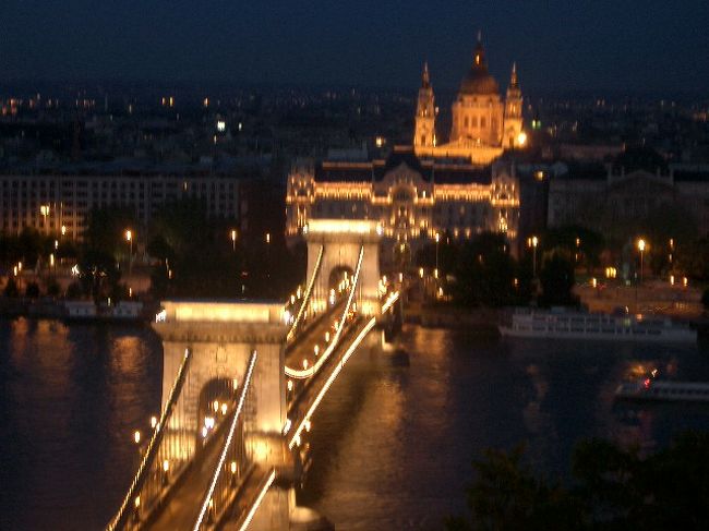 くさり橋夜　王宮の丘から