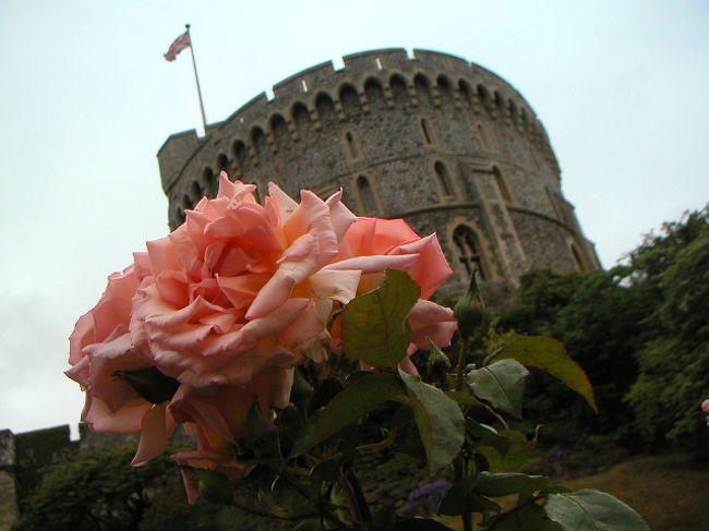 ウィンザーは雰囲気の良い、静かで小さな街です。駅のすぐ前にお城があります。<br /><br />ウィンザー城内は、たくさんの絵画、騎士の鎧や剣などが展示されていて、まるで中世ヨーロッパ時代にタイムスリップしたかのよう。豪華絢爛な品々に圧倒されました。（中は撮影禁止でしたので写真がなくてごめんなさい）