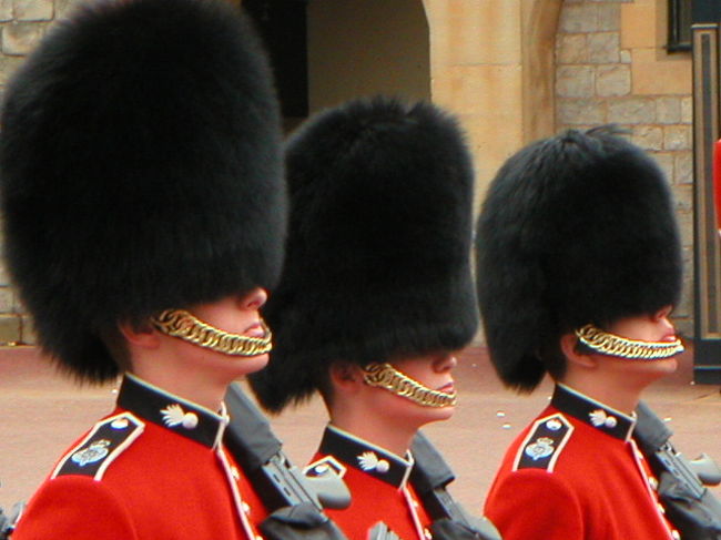 約40分で終了です。<br />キビキビとした動き、カッコ良かったです。