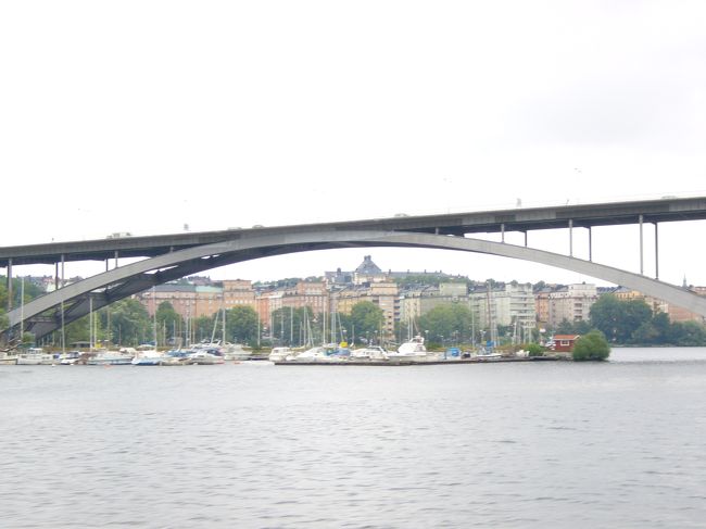 これから、この橋の下を通ります。