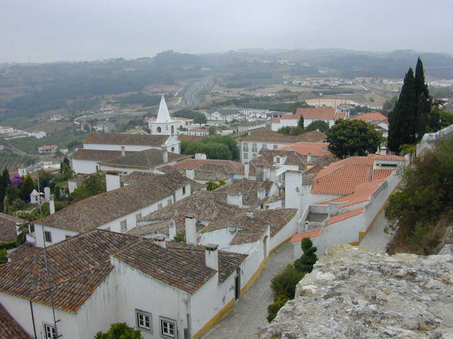 城壁から見下ろしたオビドス市です。