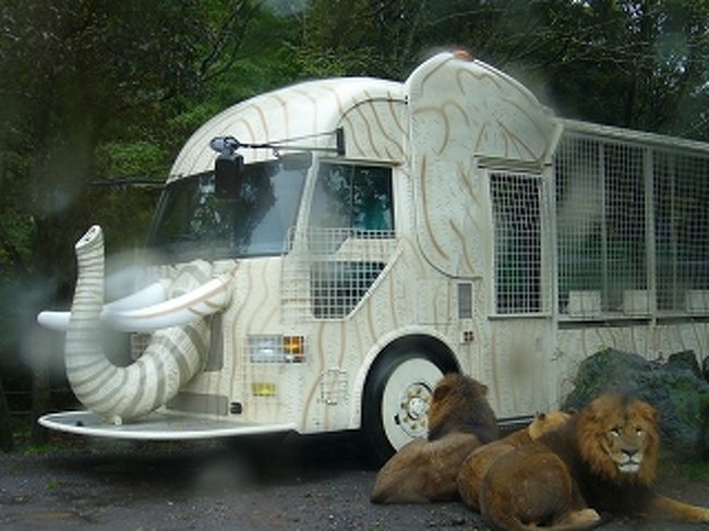 富士サファリパークと富士急ハイランドで遊んできました その１ 静岡県の旅行記 ブログ By ｍａｒｓｙさん フォートラベル