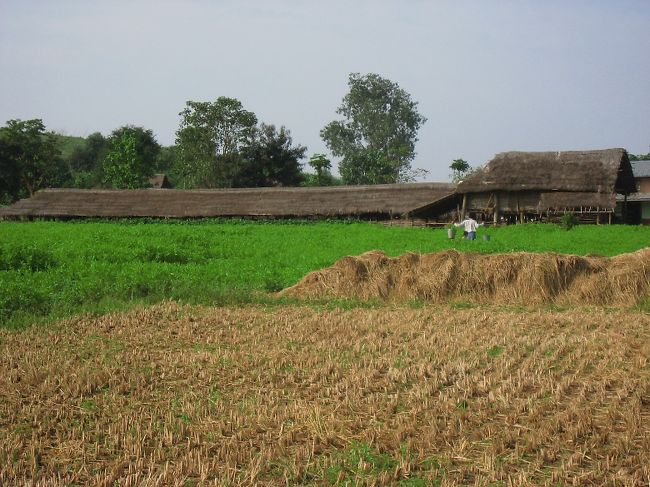 少し歩いてゆくと、ネパール系住民の村落。<br /><br />ガイドさんによると、この前案内した日本人の女性は、いきなりこの村落の人々と流暢に話し始めたから、びっくりしたんだって。<br /><br />話を聞くと、以前にネパールで数ヶ月暮らしていた方だったんだって。すごいな。<br />本当に、もっともっと、いろんな言葉を話せるようになりたい。